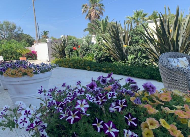 Villa Katy Salento Campomarino  Экстерьер фото